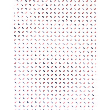 JAPANESE WHITE PRINTED FABRIC