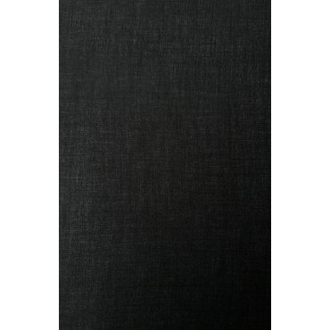 BLACK VEIL