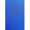 BLUE JERSEY FABRIC